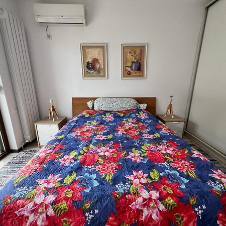 Kazanlak Large Guest House Apartment Near The Center With Full Kitchen & Dining Room, King Beds, Garden Patio, Free Parking & Self Check-In Buitenkant foto
